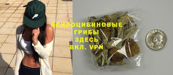 прущие крисы Алексин