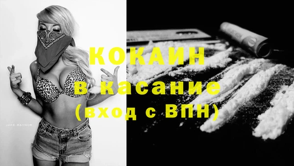 хмурый Алзамай