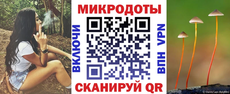 Псилоцибиновые грибы Psilocybe  Купить  Александровск-Сахалинский 