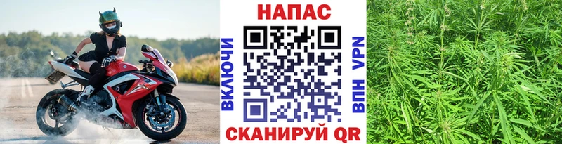 Купить закладки Александровск-Сахалинский Каннабис OG Kush